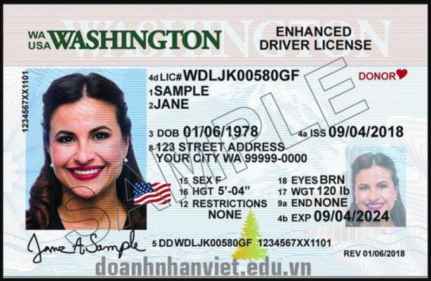 driver's license information between the United States